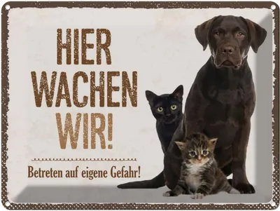 Produktbild von vianmo Blechschild 30x40 cm Tiere Hund hier wachen wir Tier Haustier