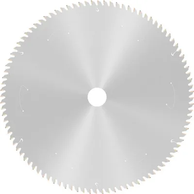 Image de Lame de scie circulaire PRO Wood cordless, 305 x 2,2 x 30 mm, T60