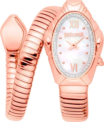 Obrázek produktu pro Just Cavalli  hodinky JC1L357M0045