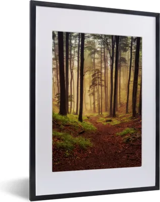 Produktbild von MuchoWow® Gerahmtes Poster Bäume - Natur - Wald 30x40 cm - Poster mit Schwarzem Bilderrahmen Wandposter Rahmen Foto Bilder - Wandposter Schlafzimmer