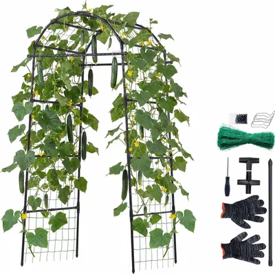Image de SucceBuy Support de palissage, treillis, support pour plantes grimpantes avec filet, arche de jardin, treillis métallique, arche métallique pour plantes grimpantes d'extérieur telles que pois, haricots, courgettes, tomates, courges et fleurs (81,3 x 80 x 205 cm)