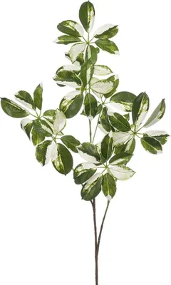 Produktbild von artplants.de Kunst Zweig Schefflera PARVANEH, grün-weiß, 110cm - Deko Schefflerazweig