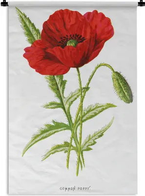 Produktbild von MuchoWow® Wandteppich Wandbehang Blume - Rot - Vintage 120x180 cm Tapisserie Dekoration Wandtuch - Schlafzimmer - Dekorationen für das Haus