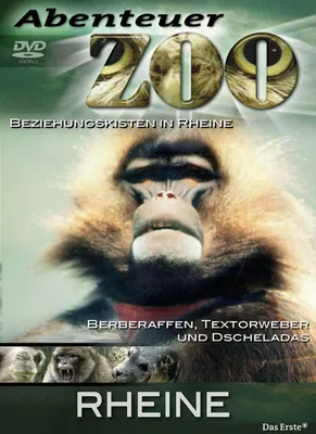Produktbild von Abenteuer Zoo