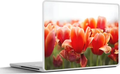Produktbild von MuchoWow® Laptop Aufkleber Sticker Cover Bild der Blätter von roten Tulpen 32.5x23.5 cm - Sticker für Laptop - Selbstklebend
