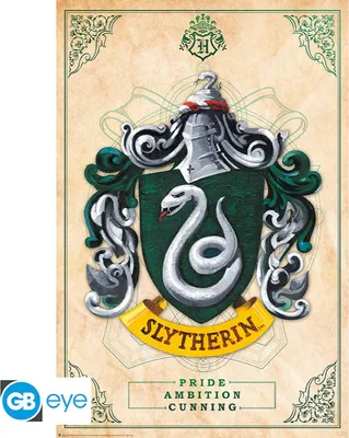 Produktbild von HARRY POTTER - Poster Maxi 91cmx51cm - Slytherin