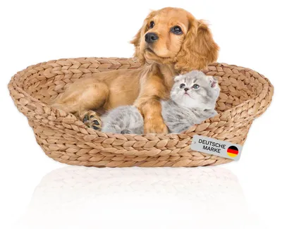 Katzenkorb Hundekorb aus Wasserhyazinthe geflochten Schlafplatz klein weich kuschelig