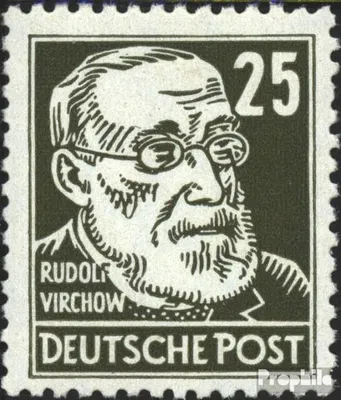 Produktbild von Briefmarken DDR 1952 Mi 334v a XI, gestrichenes Papier postfrisch Persönlichkeiten