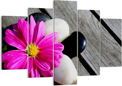 Produktbild von Bild auf Leinwand - Leinwandbild - Stein Blume Blütenblätter Chrysantheme - 150x100cm - Wand Bild - Wanddeko - Leinwanddruck - Bilder - Kunstdruck - Leinwand bilder - Wandkunst - EA150x100-2302