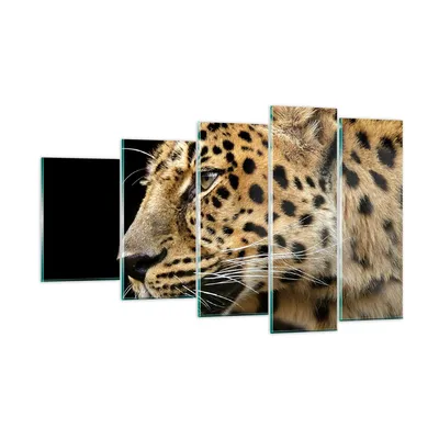 Produktbild von Bilder auf glas - Tiere Leopard wilde Katze wilde Tiere - 100x60cm - Glasbilder - Wandbilder - Kunstdruck - Wanddekoration aus Glas - Glas Bilder - Wandbild auf Glas - GEG100x60-0433