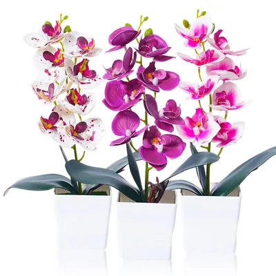 Künstliche Orchideen 3er-Set, 30 cm, Kunstblumen für Dekoration