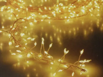 Immagine prodotto di Catena luminosa a grappolo di LED in filo d'argento, 960 LED, bianco caldo, 230V~, IP44, 14,2 m