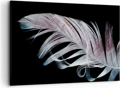 Produktbild von Bild auf Leinwand - Leinwandbild - Einteilig - Feder die Farben Zartheit - 120x80cm - Wand Bild - Wanddeko - Wandbilder - Leinwanddruck - Bilder - Wanddekoration - Leinwand bilder - AA120x80-4959