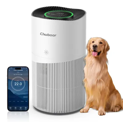 Productafbeelding van Luchtzuiveraar, HEPA-filter, compact ontwerp, Wi-Fi, 4,5 kg