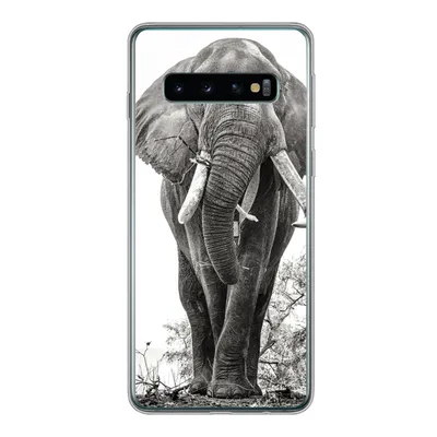 Produktbild von MuchoWow® Handyhülle Schutzhülle Hülle für Samsung Galaxy S10 Elefant - Porträt - Tiere - Schwarz und weiß Silikon Softcase Handy Hülle - Handytasche