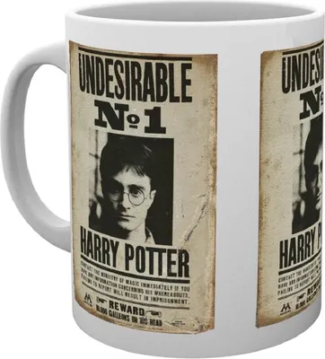 Obrázok produktu pre Harry Potter- Undesirable No 1