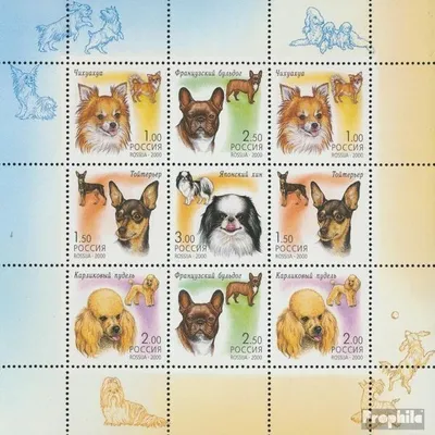 Produktbild von Briefmarken Russland 2000 Mi 837-841 Kleinbogen (kompl.Ausg.) gestempelt Hunderassen