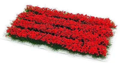 Produktbild von Modellbau-Grasmatte - Realistische Dekoration - 12x6x1 cm