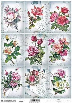 Image de ITD COLLECTION 21x29cm A4 recto Scrapbooking Craft Papier 250g, TAG0050 fleurs, roses