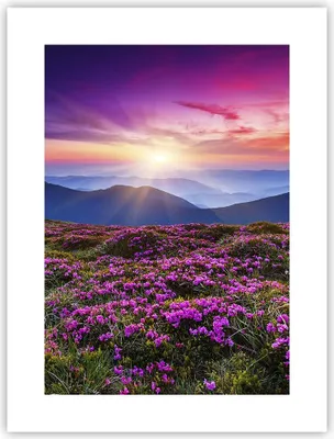 Produktbild von Poster - Poster ohne Rahmen - Wiese Berg Himmel Landschaft - 30x40 cm - Wand Bild - Wanddeko - Wandbilder - Kunstposter - Wandposter - Bilder - Kunstdruck - Wanddekoration - Wandbild - P2XPA30x40-2719