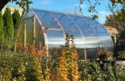 Image de Jardin Dream Serre en bois 3.5x10M avec 10mm polycarbonate et bois fondamental