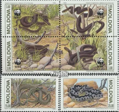 Produktbild von Briefmarken Moldawien 1993 Mi 50-53 Viererblock,54-55 (kompl.Ausg.) postfrisch Schlangen