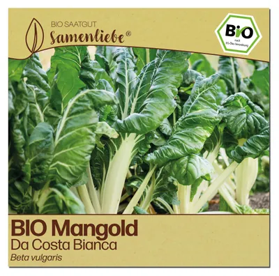 Produktbild von Samenliebe  Mangold Samen | Da Costa Bianca - winterhart & weißer - samenfestes  Saatgut