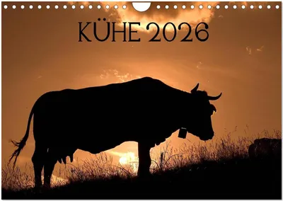 Produktbild von Kühe 2026 (Wandkalender 2026 DIN A4 quer), CALVENDO Monatskalender