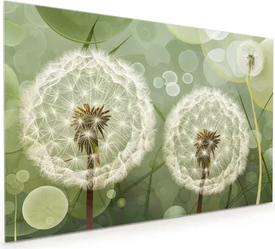 Produktbild von Küchenrückwand Spritzschutz Glas mit Motiv Löwenzahnzarte Blüten 40 x 40 cm