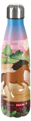 Zdjęcie produktu dla Izolowana butelka do picia ze stali nierdzewnej Step by Step Wild Horse Ronja wielokolorowa