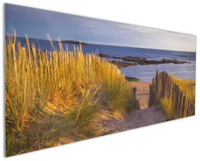Produktbild von Wallario Küchenrückwand aus Glas, Größe: 125 x 50 cm, Motiv: Weg durch die Dünen zum Meer an der Küste | Spritzschutz | abwischbar | pflegeleicht | in