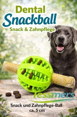 Produktbild von Hundespielzeug Leckerli Ball GRÜN Intelligenzspielzeug Snackball Hunde Dental Fun