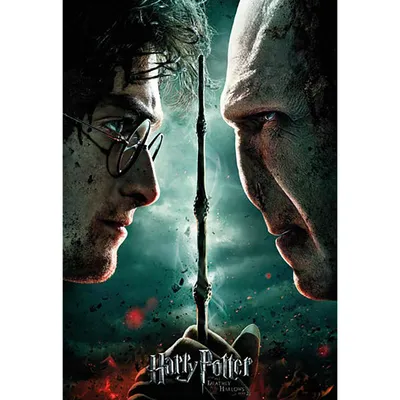 Image de Puzzle Jigsaw Harry Potter: Pojedynek z Voldemortem, 1000 elementów