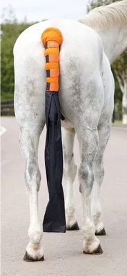 Immagine prodotto di ARMA - Paracoda con borsa ER516 (taglia unica) (Arancione)