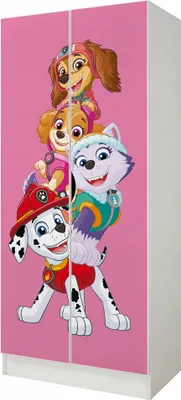 Produktbild von Kinderschrank 70cm breit mit Paw Patrol Charaktere Marshall Zuma Skye Everest Mehrzweckschrank für Kinderzimmer Schrank für Kinder 70cmx162cmx43cm