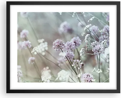 Produktbild von Gerahmtes Poster - Schwarzer Rahmen - Wiese Knoblauch Blume - 50x40 cm - Wand Bild - Wanddeko - Wandbilder - Kunstposter - Wandposter - Bilderrahmen - Bilder - Kunstdruck - Wandbild - P2BAA50x40-4177