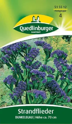 Produktbild von Quedlinburger Saatgut - Strandflieder Dunkelblau - Samen - 515512