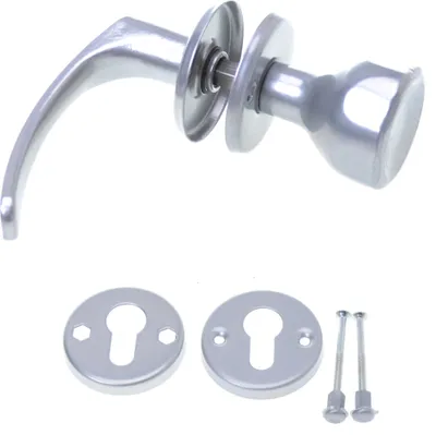 A set of door handles and related hardware, including two keyhole escutcheons and two screws, displayed against a white background.