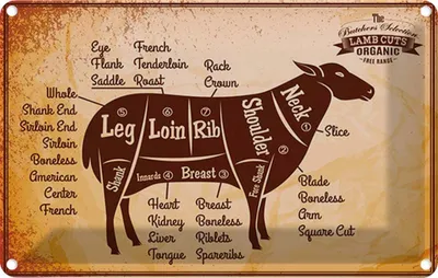 Produktbild von vianmo Blechschild 20x30 cm Lamm Lamb cuts Organic Metzgerei Hofladen Marktstand Laden
