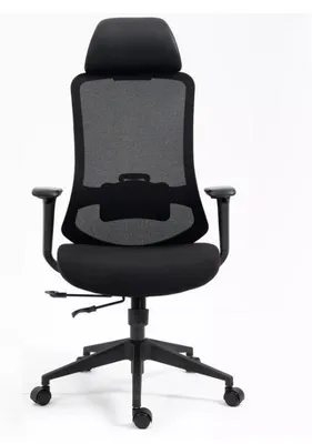 Image de Fauteuil de bureau "Ergon" - Noir - l 64 x H 112 cm