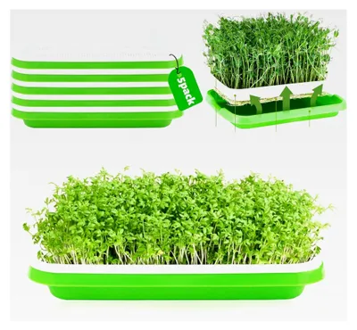 Produktbild von 5 Stück Keimschalen für Sprossen, 31 cm x 25 cm, Kresse Anzuchtschalen, Keimung Tablett, Keimbox für Mungbohnen, Alfalfa und Weizengras