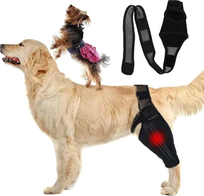 Produktbild von Hunde Elleboogbandage Schutzpolster - Ellebo­gen Unterstützung Kompressionswickel - Kniebandage für Hunde - Unterstützung bei Dysplasie und Arthritis - Ellebo­gen Hornhaut und Druckgeschwüre - Größe M