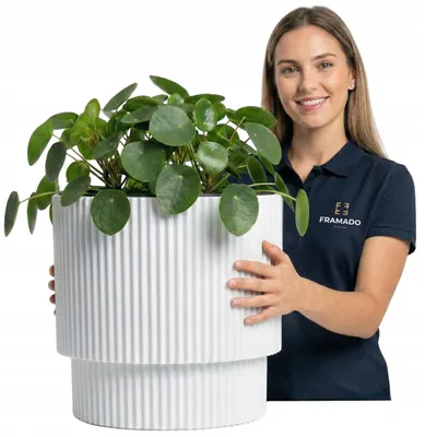Obrázek produktu pro Framado Bílý květináč 30 cm s vložkou pro interiér i zahradu