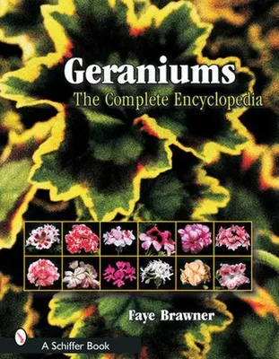 Image de Geraniums