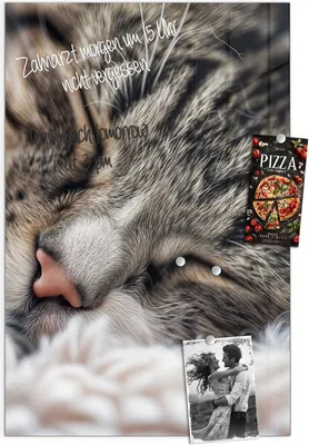 Produktbild von Magnettafel 40x60cm Pinnwand Whiteboard beschreibbar - Schlafende Katze