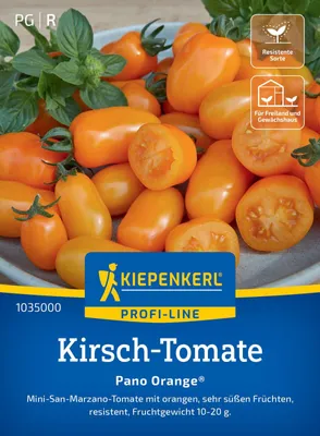 Produktbild von Kiepenkerl Kirsch-Tomatensamen Pano Orange F1 Solanum lycopersicum 5 Pflanzen