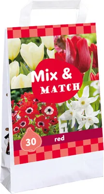 Artikelbild 2 von 'Blumenzwiebelmischung Mix & Match Rot (30 Stück)'