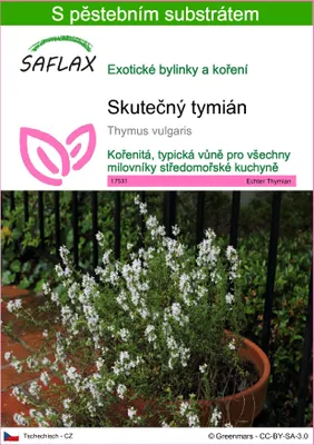 Obrázek produktu pro SAFLAX - Skutečný tymián - Thymus vulgaris - 200 Semena - S pěstebním substrátem bez klíčků