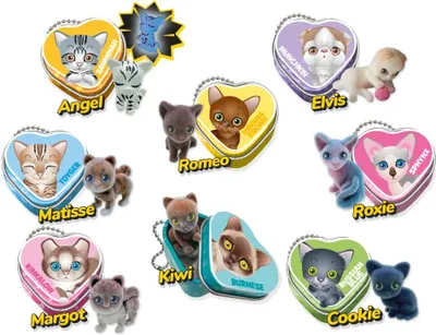 Produktbild von Sweet days Welpenclub Kitty Sweetheart
