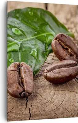 Produktbild von Bild auf Leinwand - Leinwandbild - Einteilig - Aroma Kaffee Pflanze Samen - 80x120cm - Wand Bild - Wanddeko - Wandbilder - Leinwanddruck - Wanddekoration - Leinwand bilder - Wandbild - PA80x120-2548